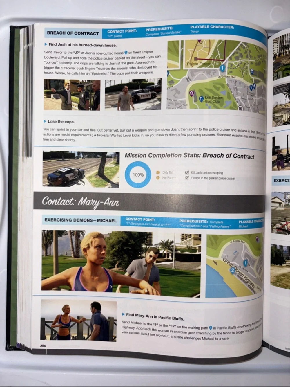 Rockstar Grand Theft Auto V Limited Edition Strategy Guide - Black/Green